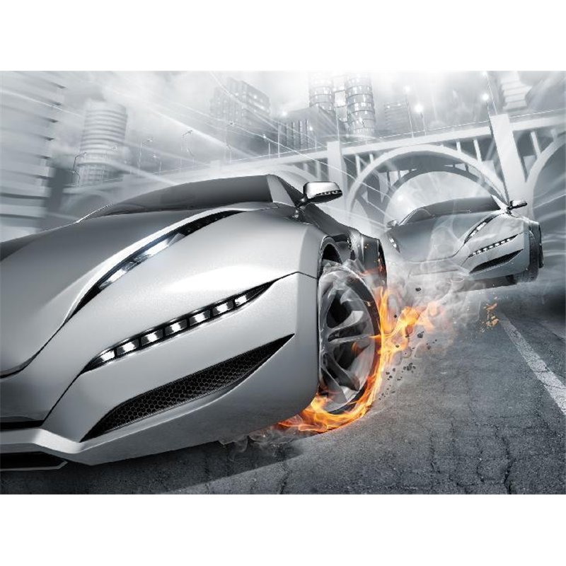 Автогонки - Фотообои Техника и транспорт|автомобили