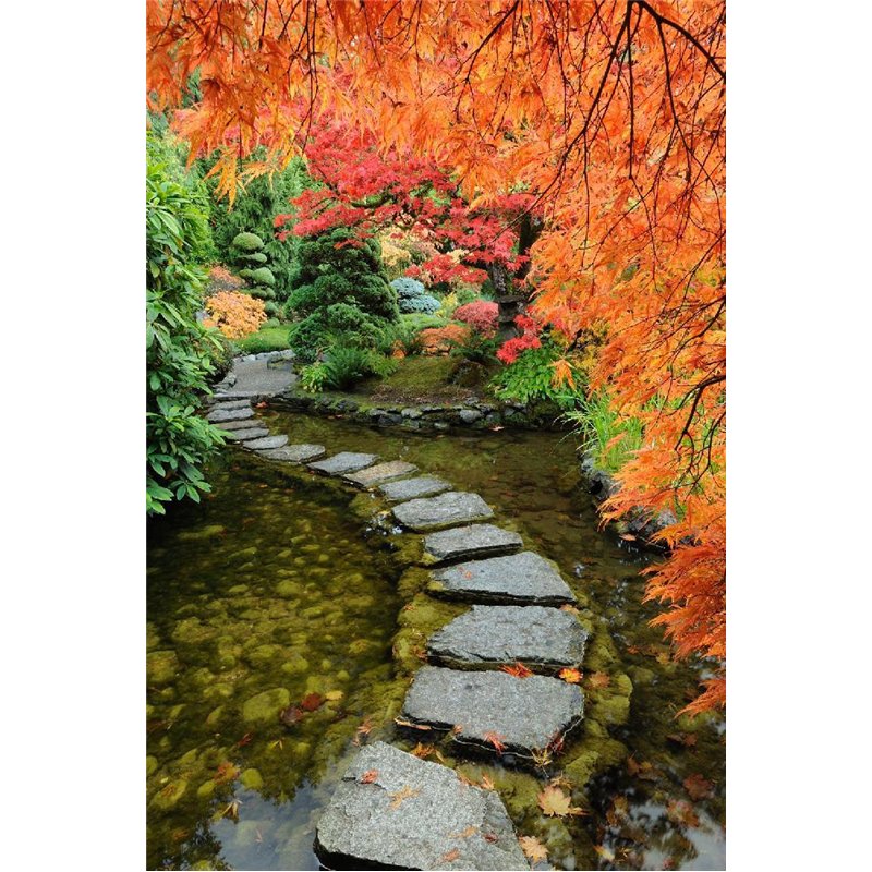 Тропа в воде - Фотообои Японские и просто сады
