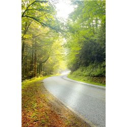 Дорога - Фотообои природа|дороги