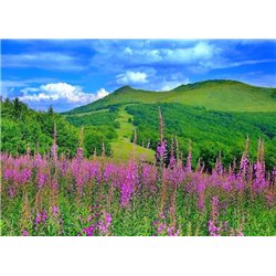 Зеленые холмы - Фотообои природа|поля