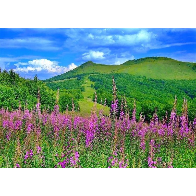 Зеленые холмы - Фотообои природа|поля