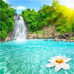 Кувшинка на воде - Фотообои природа