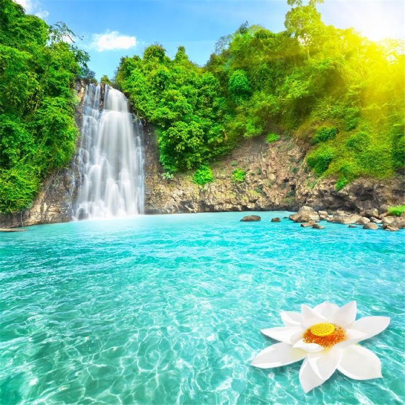Кувшинка на воде - Фотообои природа
