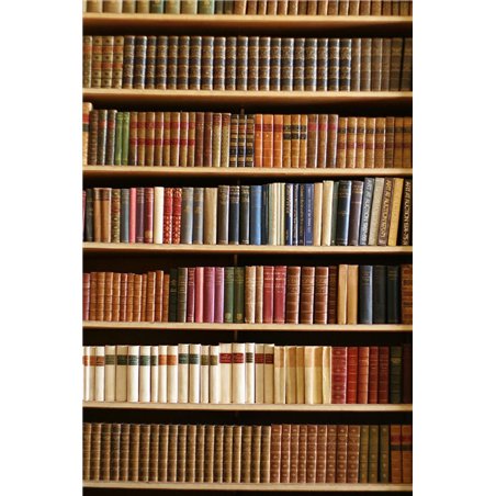 Книжный шкаф - Фотообои Интерьеры