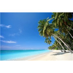 Пальмы на берегу моря - Фотообои Море|пляж