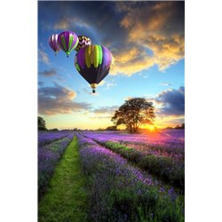 Воздушные шары - Фотообои природа|поля