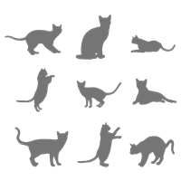Портреты картины репродукции на заказ - Трафарет Набор из 9 кошек