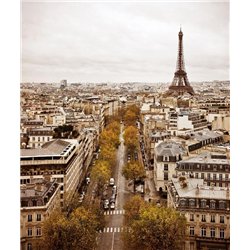 Эйфелева башня, Париж - Фотообои архитектура|Париж