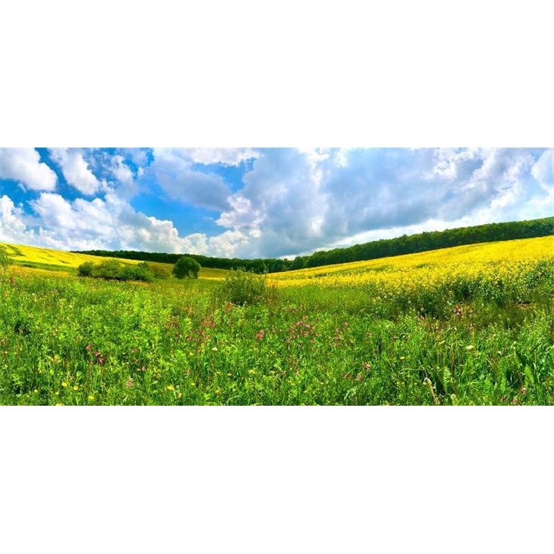 Поле и облака - Фотообои природа|поля