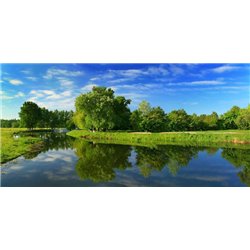Деревья у реки - Фотообои природа|озера