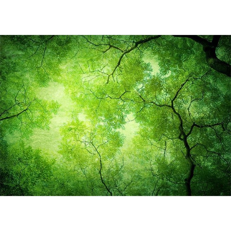 Зелёные деревья - Фотообои природа|деревья и травы