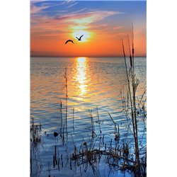Закат - Фотообои природа|осень