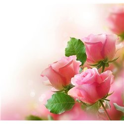 Розовые розы - Фотообои цветы|розы