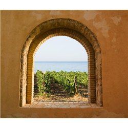 Вид на море и виноградник - Фотообои Море|побережье