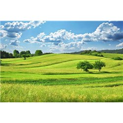 Поля и облака - Фотообои природа|поля