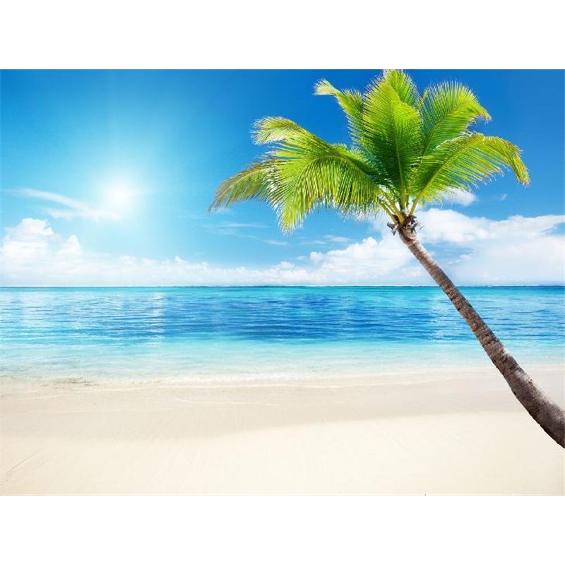 Пальма на берегу моря - Фотообои Море|пляж