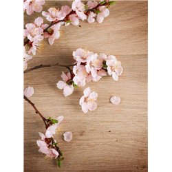 Ветка с цветами на полу - Фотообои цветы|сакура