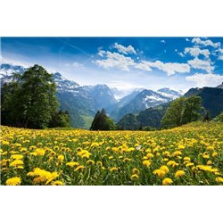 Одуванчики и горы - Фотообои горы