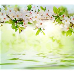 Цветущая ветвь над водой - Фотообои цветы|цветущие деревья