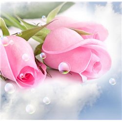 Розовые розы - Фотообои цветы|розы