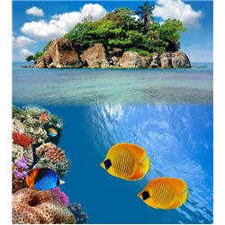 Остров - Фотообои Море|побережье