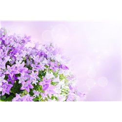 Букет сирени - Фотообои цветы|сирень