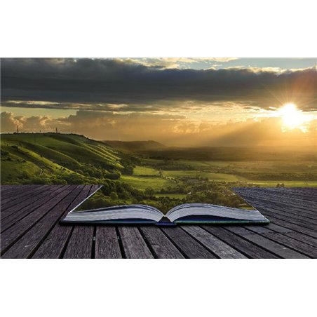 Природа в книге - Фотообои Креатив