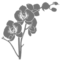 Портреты картины репродукции на заказ - Трафарет Цветок орхидея