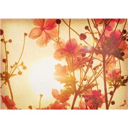 Арт-цветы - Фотообои цветы