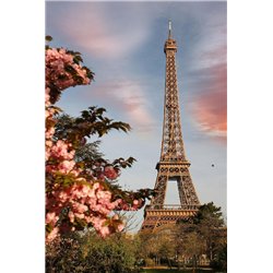 Весенний Париж - Фотообои архитектура|Париж