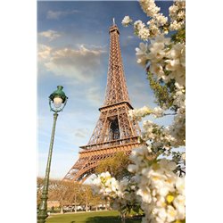 Парк Парижа - Фотообои архитектура|Париж