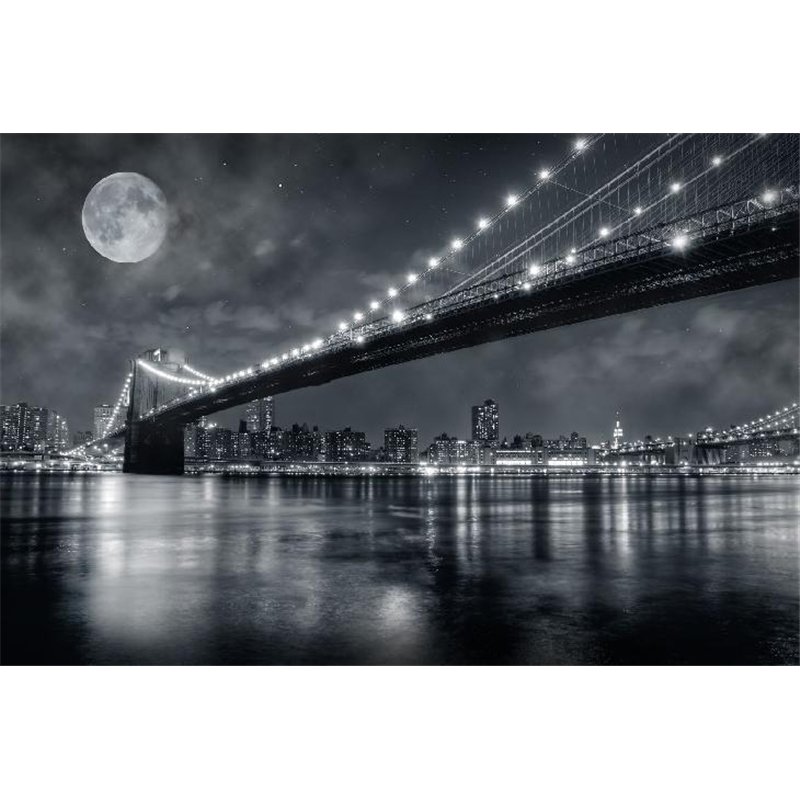 Луна над мостом - Фотообои Современный город|Нью-Йорк