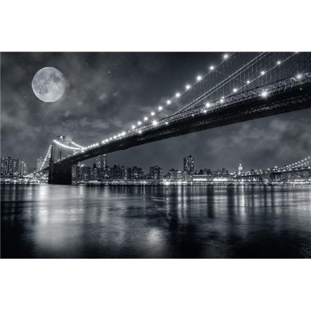 Луна над мостом - Фотообои Современный город|Нью-Йорк