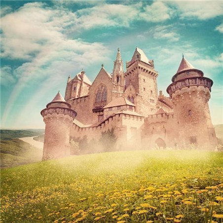 Одуванчики перед дворцом - Фотообои детские|универсальные