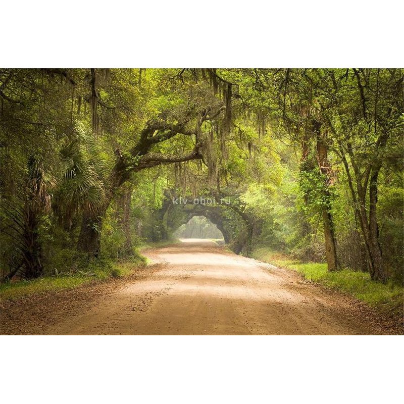 Туманная аллея - Фотообои Расширяющие пространство