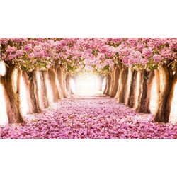 Розовый цвет - Фотообои природа|дороги