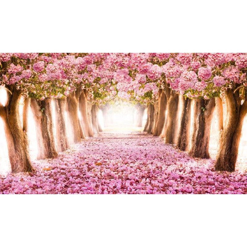 Розовый цвет - Фотообои природа|дороги