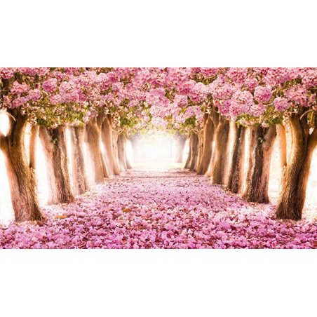Розовый цвет - Фотообои природа|дороги