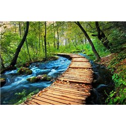 Лес - Фотообои Расширяющие пространство