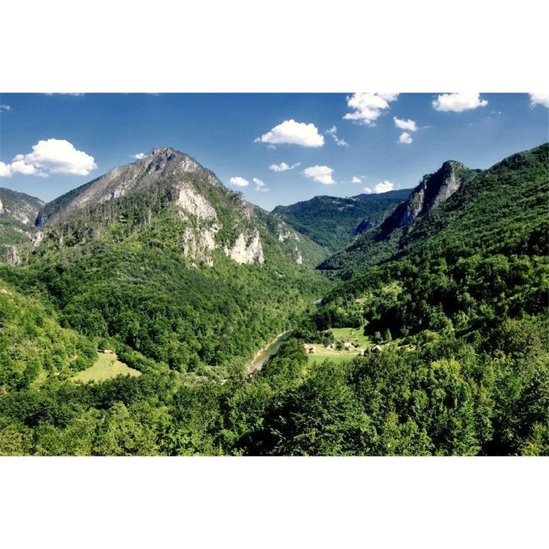 Лес и горы - Фотообои горы