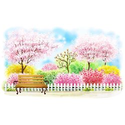 цветущие сакуры - Фотообои Иллюстрации