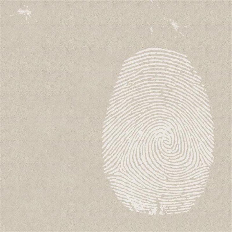 Отпечаток пальца - Дизайнерские|модерн