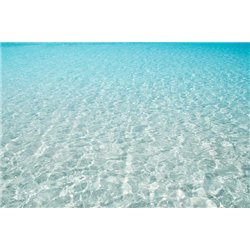 Морское дно - Фотообои Море