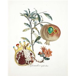 Сюрреалистические плоды - Гранат - Модульная картины, Репродукции, Декоративные панно, Декор стен