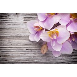Цветочные мотивы - Фотообои цветы