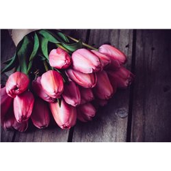 Букет тюльпанов - Фотообои цветы|тюльпаны