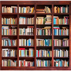 Книжный шкаф - Фотообои на двери