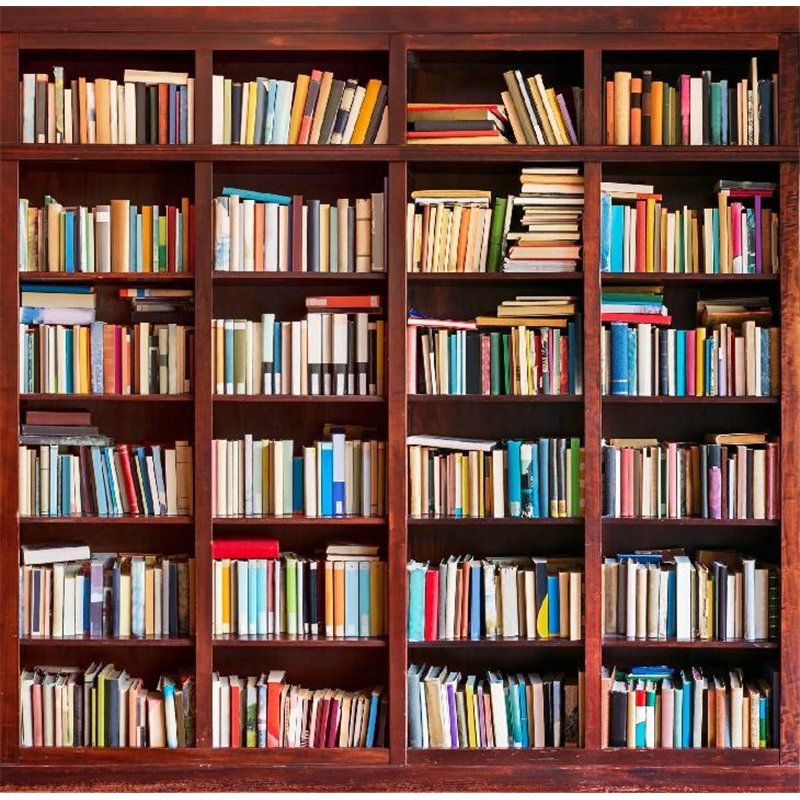 Книжный шкаф - Фотообои на двери