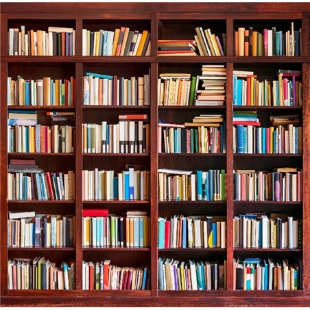 Книжный шкаф - Фотообои на двери