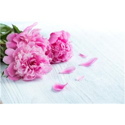 Розовый букет - Фотообои цветы|пионы